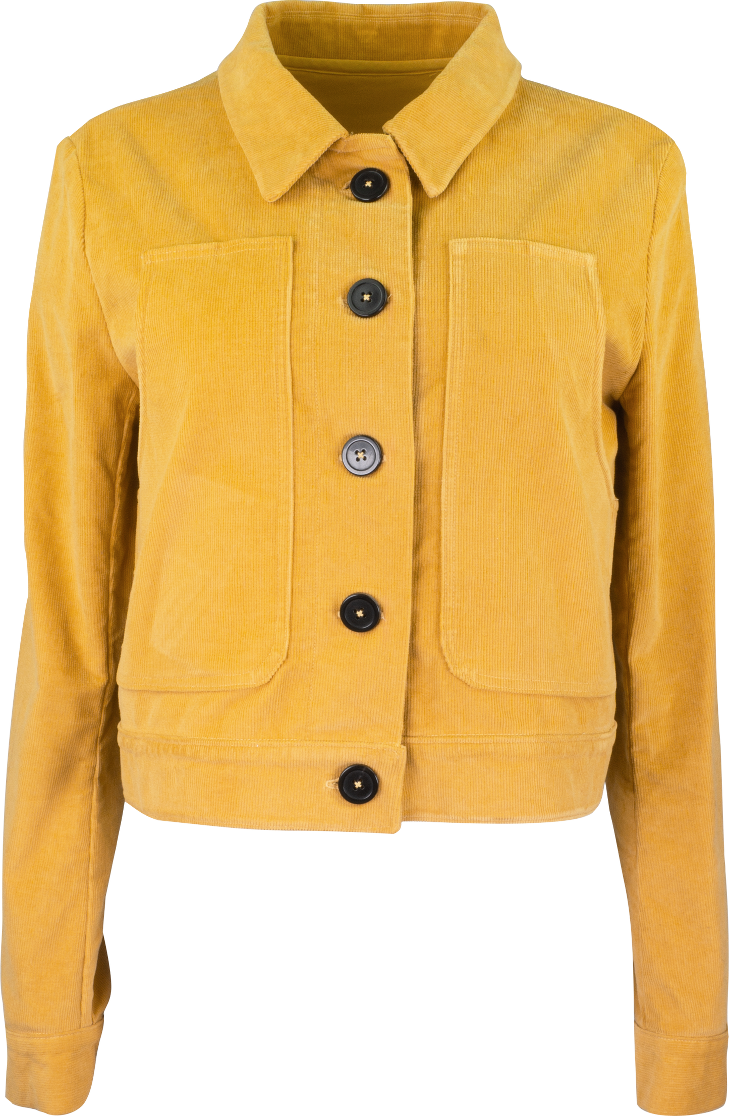 Cord Jacket Multitudes | bellaLEYK